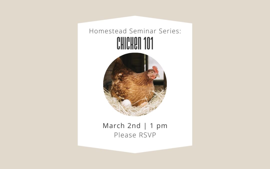 3/2 Homesteading Seminar Series: Chicken 101