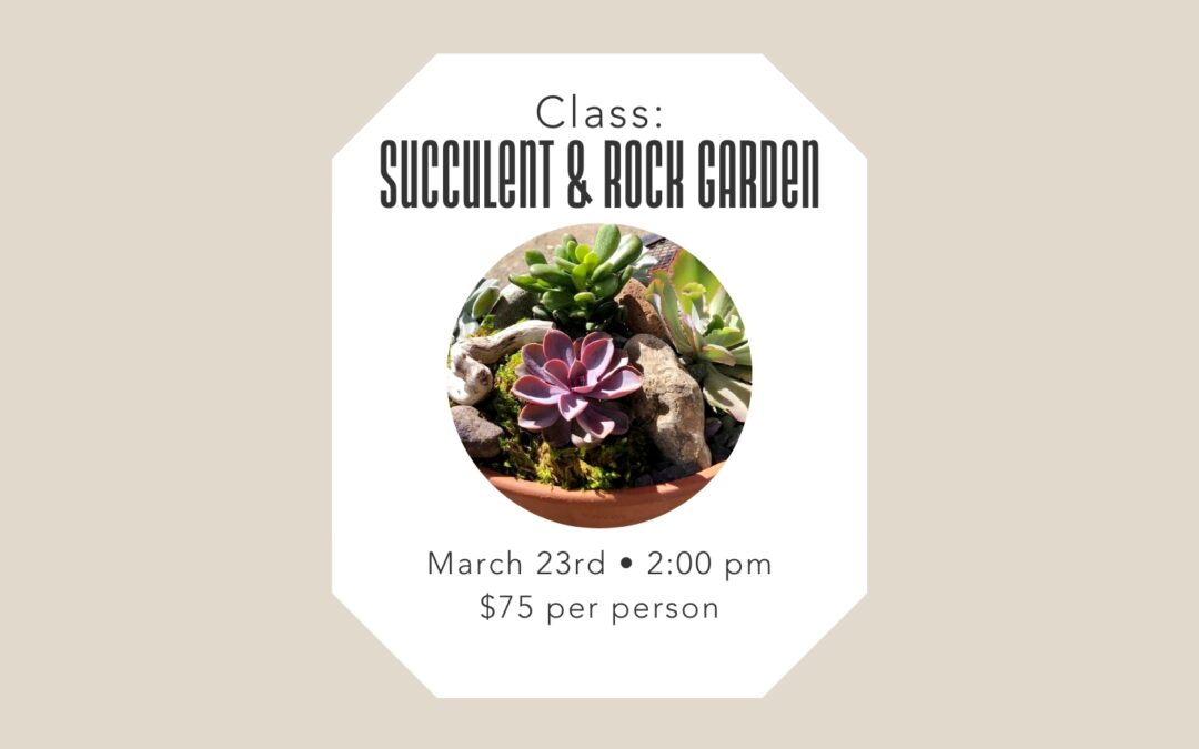 3/23 Class: Succulent & Rock Garden