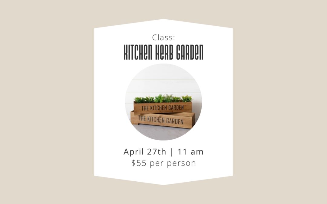 4/27 Class: Kitchen Herb Garden