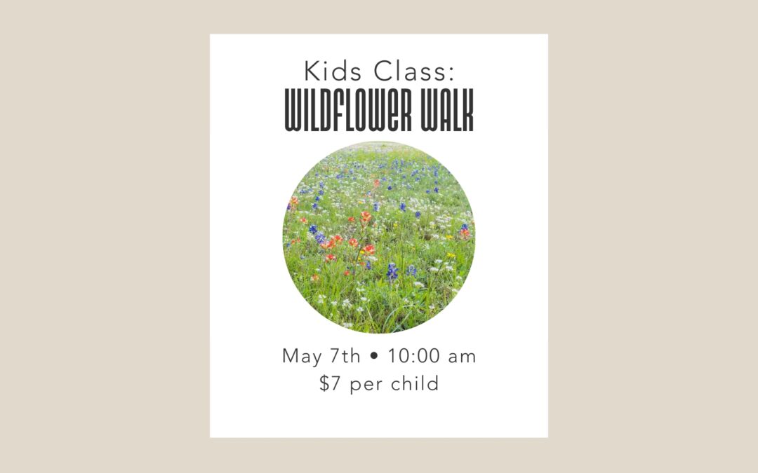 5/7 Kids Class: Wildflower Walk