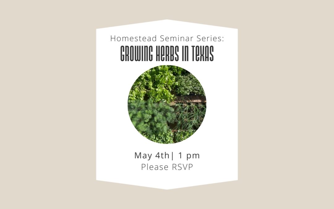 5/4 Homesteading Seminar Series: Growing Herbs in Texas