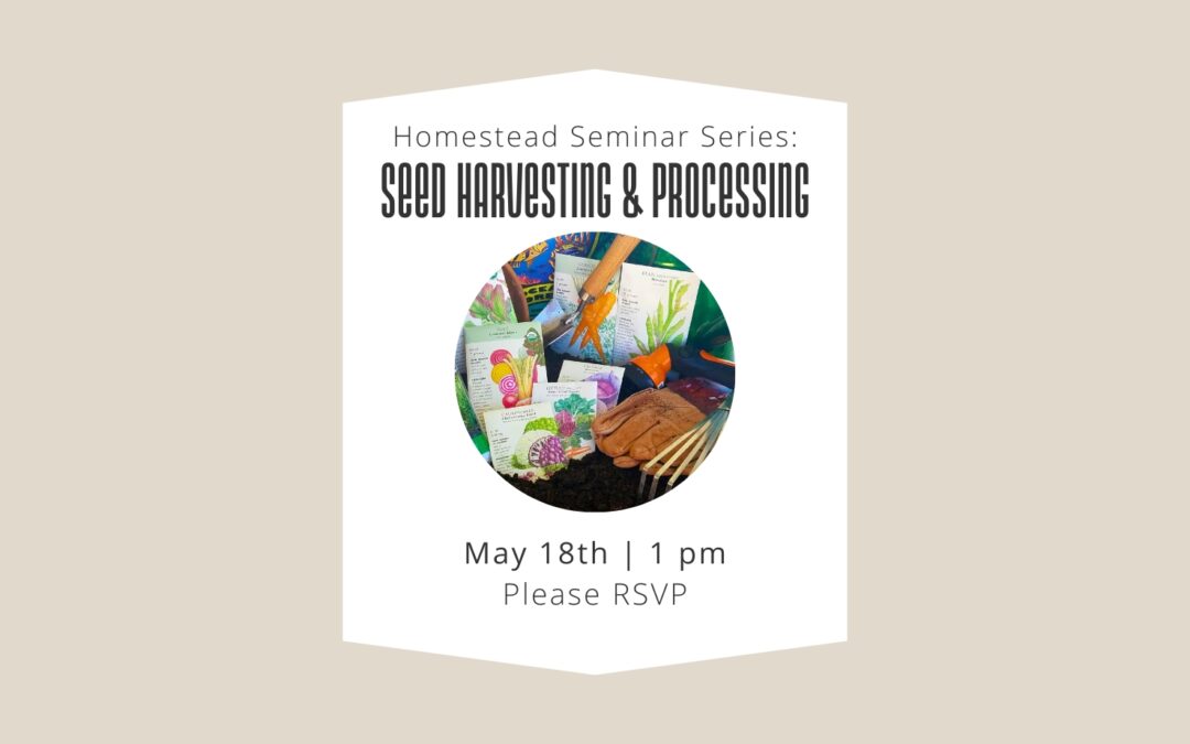 5/18 Homesteading Seminar Series: Seed Harvesting & Processing