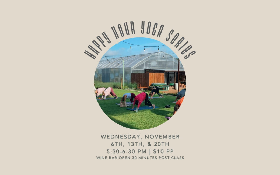 11/20 Happy Hour Yoga Series