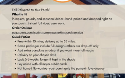 Pumpkin Porch Display FAQ