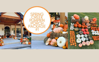 Spring Creek Pumpkin Porch Package #1