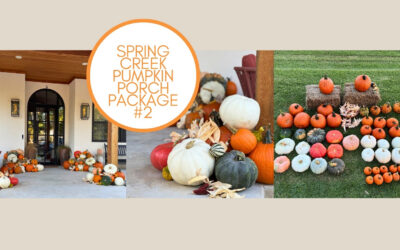 Spring Creek Pumpkin Porch Package #2