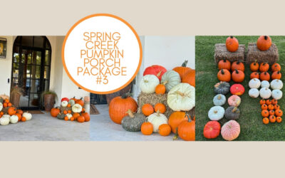Spring Creek Pumpkin Porch Package #3