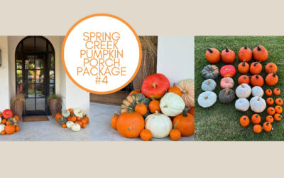 Spring Creek Pumpkin Porch Package #4